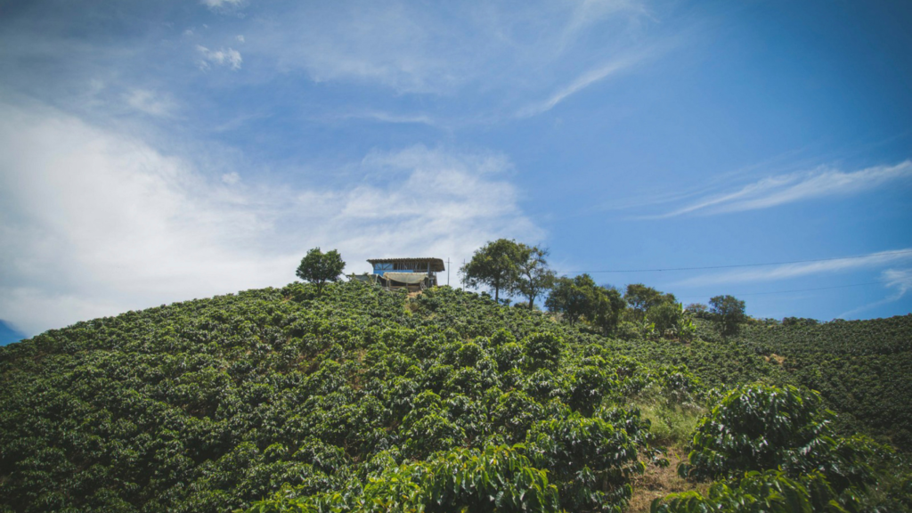 The Rise of Niche Stays_ Why Travelers Are Ditching Hotels for Unique Experiences 1