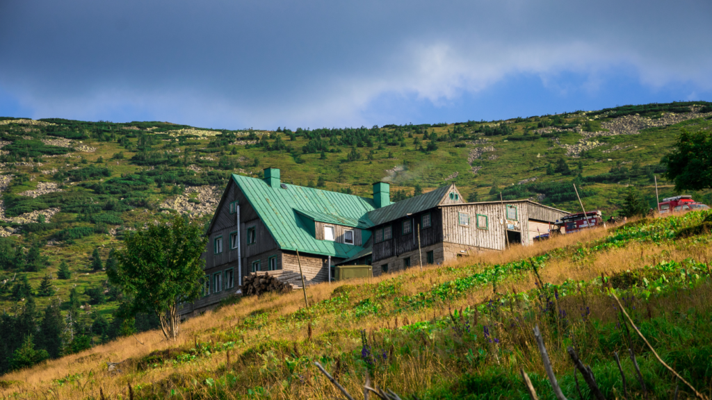 Why Farm Stays Are the Dreamy Affordable Retreat for 2025 1