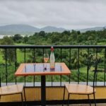 Vineyard 9