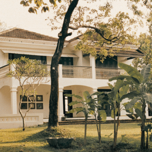 The Postcard Velha​