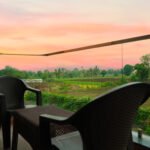 Cheese Farmstay Experience 8