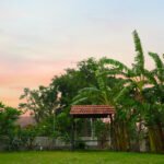 Cheese Farmstay Experience 6